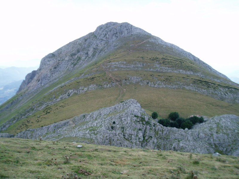 Auntzizegitik ikusita