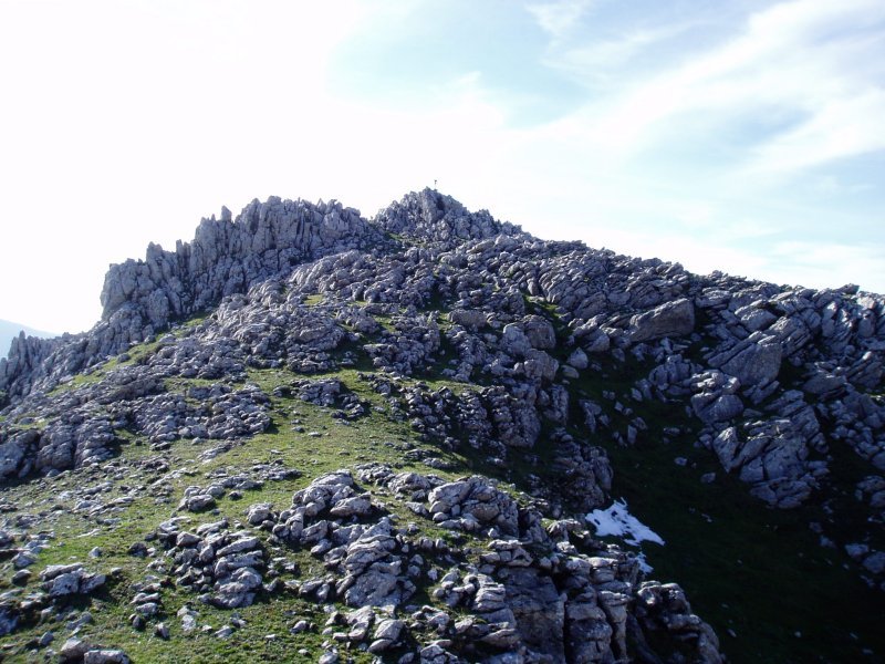 Lekunberriko tontorra