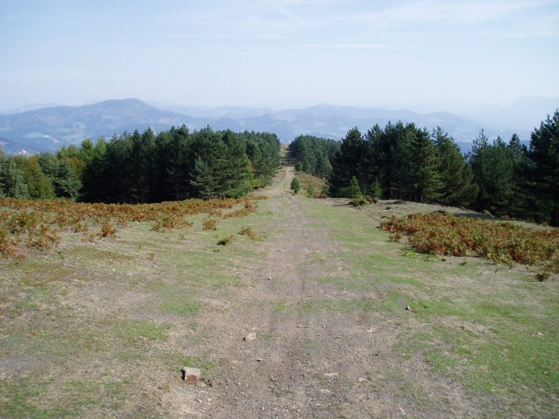 Ardamita aldera jaisten den bidea