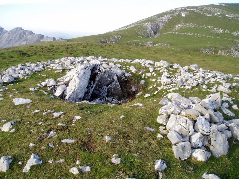 Artzanburu trikuharria