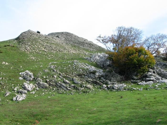 Tontorraren inguruak HMko bizkarrean