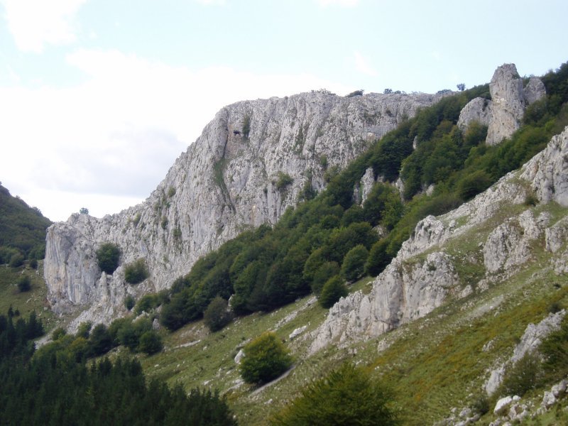 Ekialdeko isurialdea