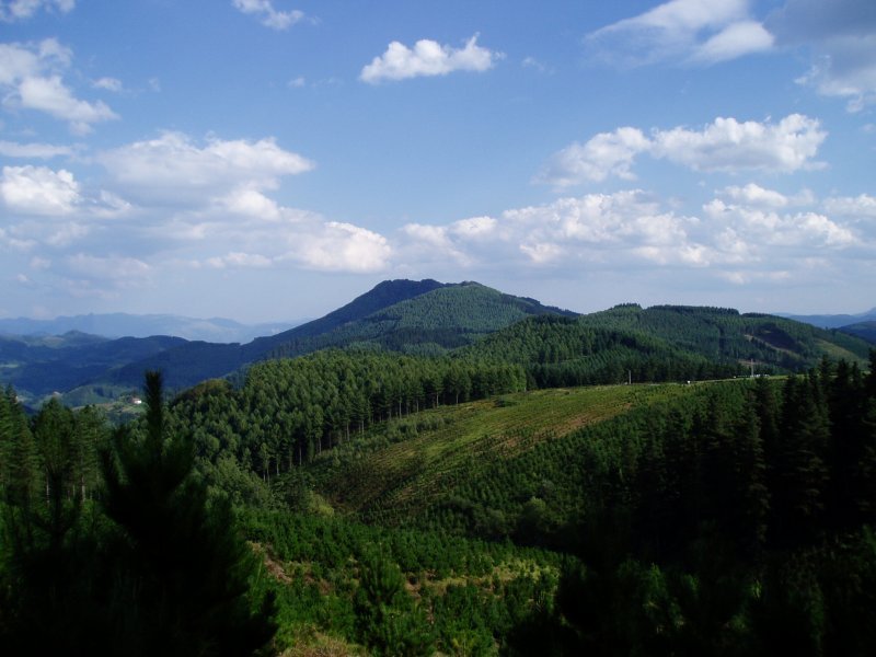 Gorla ingurutik ikusita