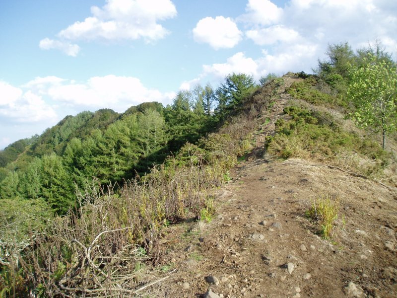 Mendebaldeko gandorreko pasarte bat