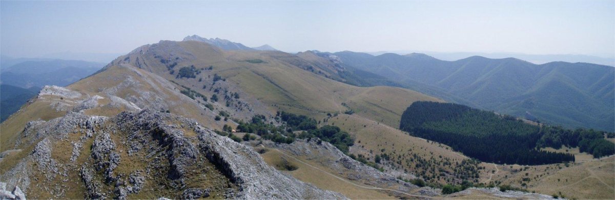 Hegoekialdera ikuspegia