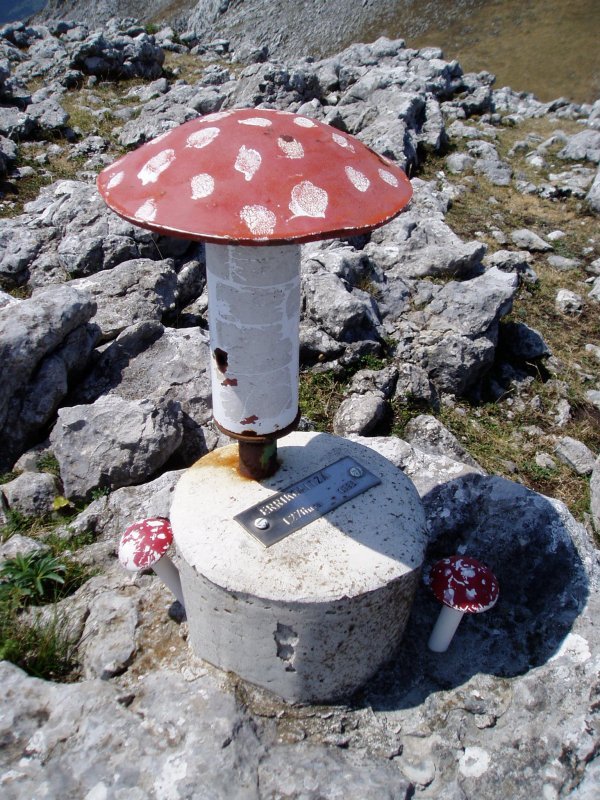 Errikoaitzako buzoia