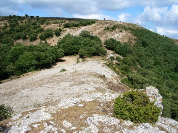 Ekialdeko lepotik ikusita
