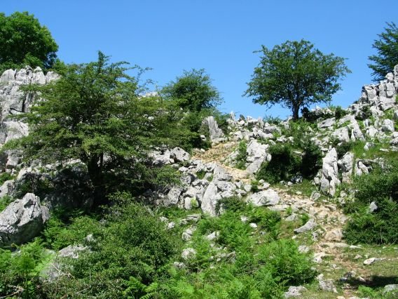 Iparraldetik inguratzen duen bidea