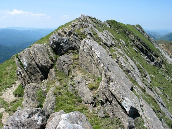 Gainaldeko gandorra Etik