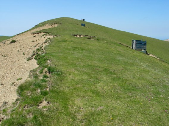 Mko gandorreko beste gain bat