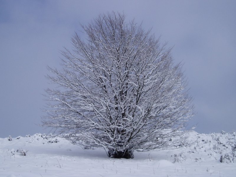 Irukurutzeta inguruan