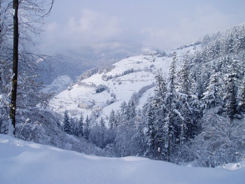 Korta baserritik mendigainera igotzen den bidetik ikuspegia
