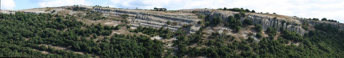 Arratoko bizkarra Hegoaldetik