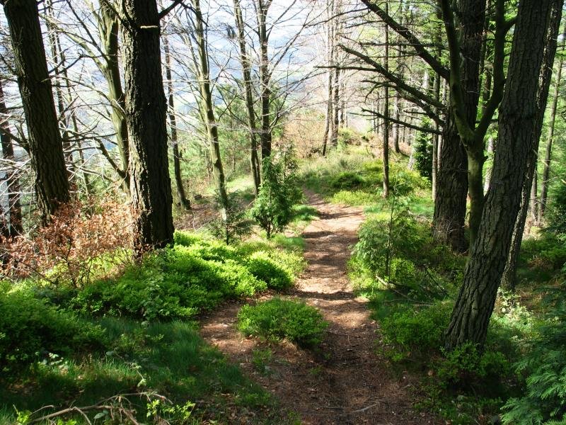 Tontorrerako bidea Mendebaldetik