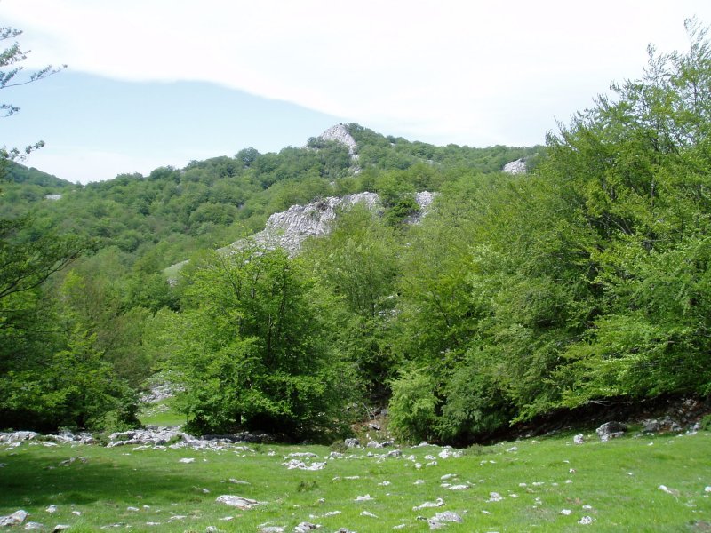 Ipar-ekialdetik ikusita