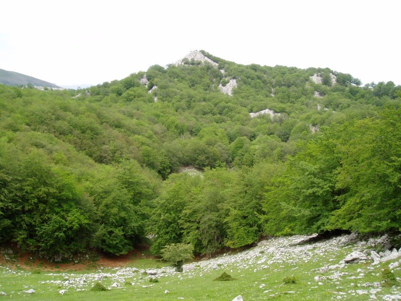 Kargalekutik ikusita