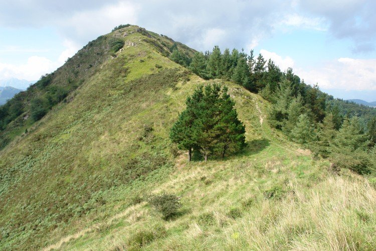 Iparraldeko bizkarra