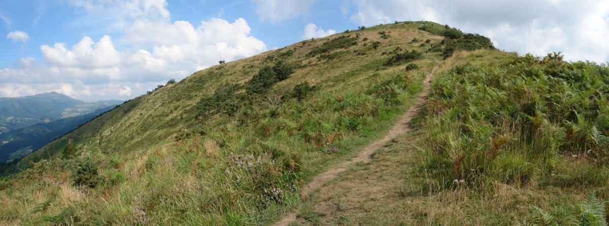 Hegoaldeko isurialdea