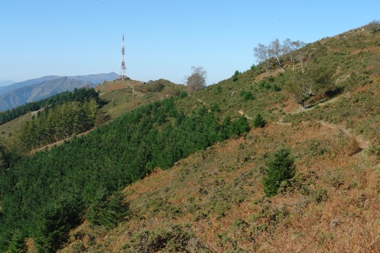 Ekialdetik heldu den bidea