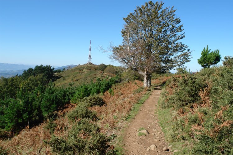 Ekialdetik heldu den bidea (III)