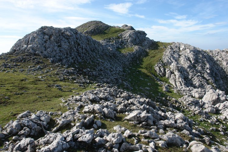 Ekialdeko bizkarretik