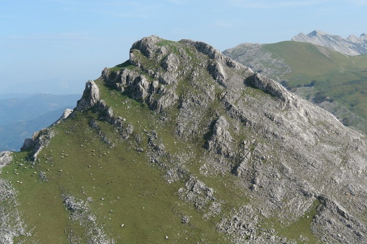 Tontorra, Butreaitz aldetik ikusita