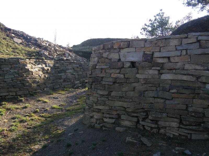 Kanpanmendu erromatarra