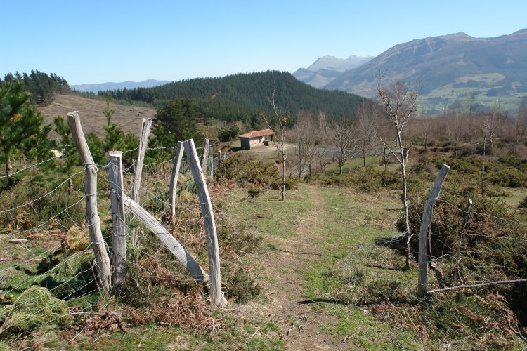 Ekialdeko bizkarrean gora, atzera begira