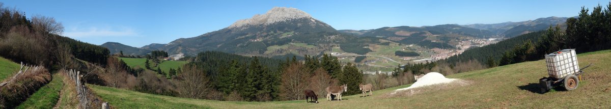 Udalaitz, Naparrena baserriaren ingurutik ikusita