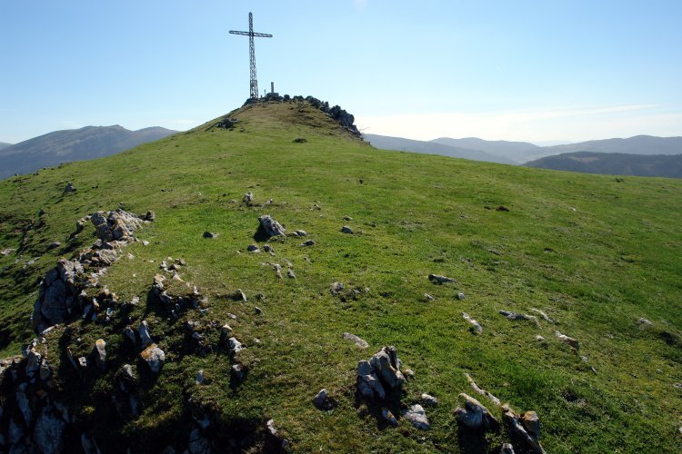 Tontorra iparraldetik