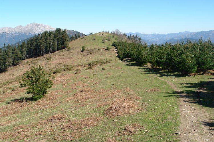 Hegoaldeko isurialdea