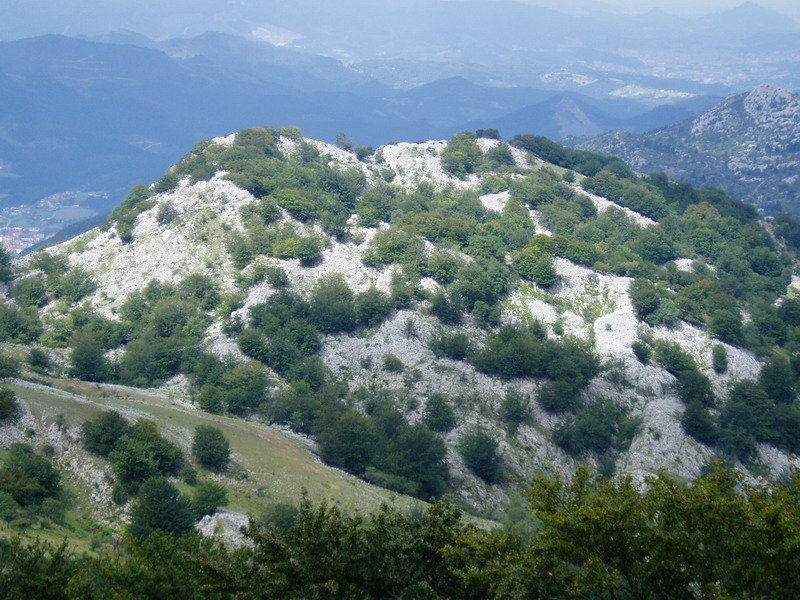 Artatxaganetik ikusita