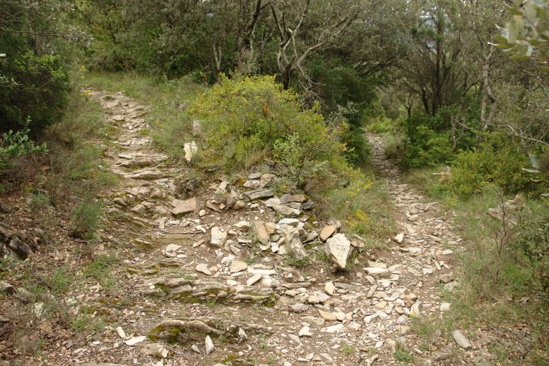 Salvatierra aldeko bidea