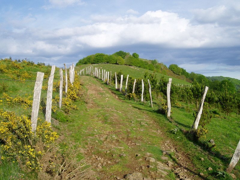 Iruiatik igotzen den bidetik ikusita