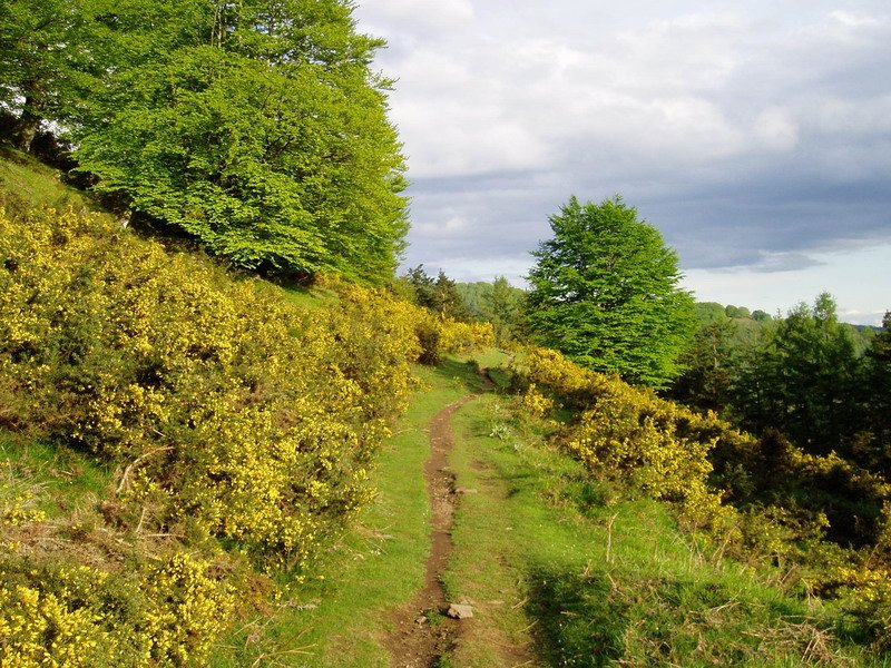 Atxolin hego-mendebaldetik inguratzen duen bidea