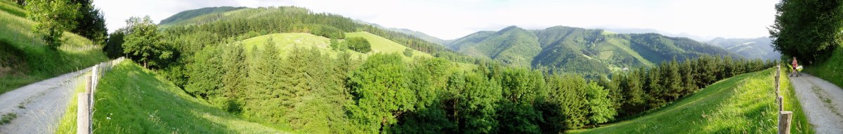 Atzo Muinotik gerturatzen den bidetik ikusita