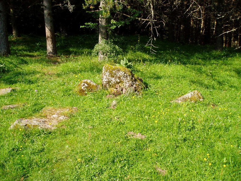 Trikuharria Selva de Ozan