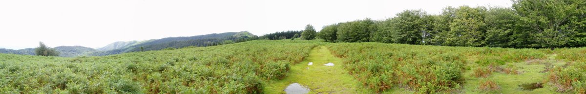 Artikutzatik Bidango Gañera igotzen den bidea