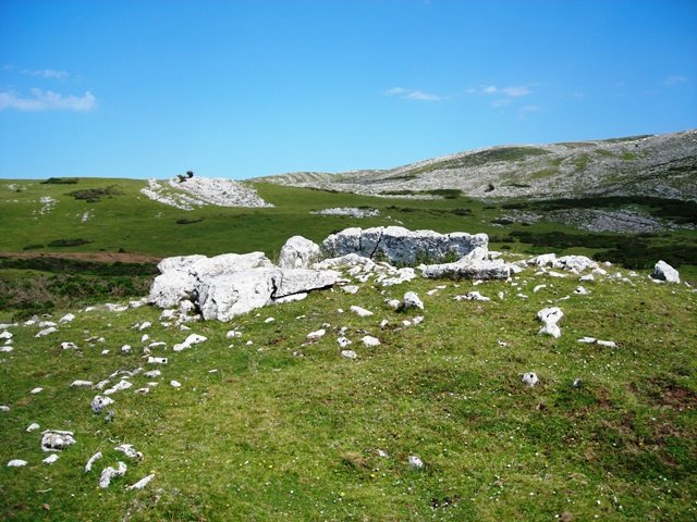 obioneta hegoko trikuharria