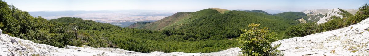 Burgalaitzetik ikusita