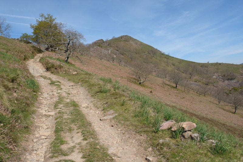 Larrangoko lepora heltzen, Arrosa aldetik