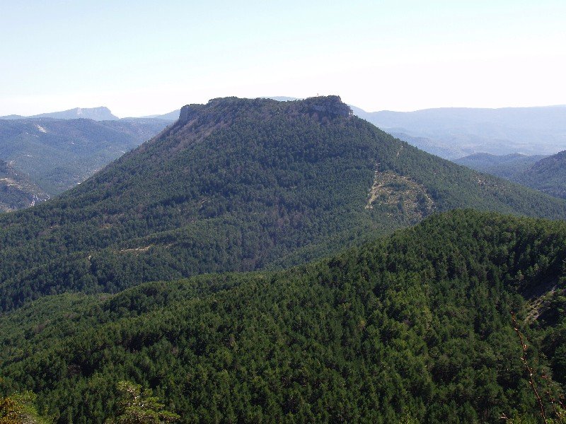 Arburua Alduko atakatik