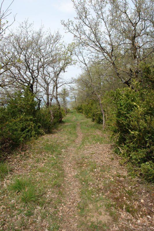 Bizkarreko bidea, Ekialdean