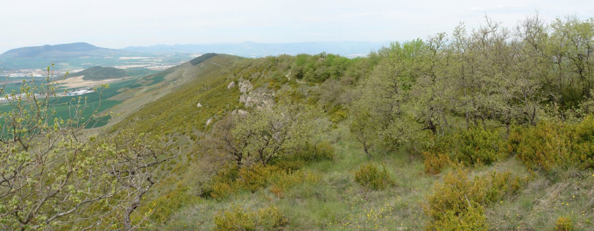 Mendebaldeko bizkarraren ikuspegia