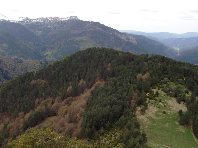 Hegoaldeko gailurretik, Ardibidegainea, Larratza eta Ardibidepikua
