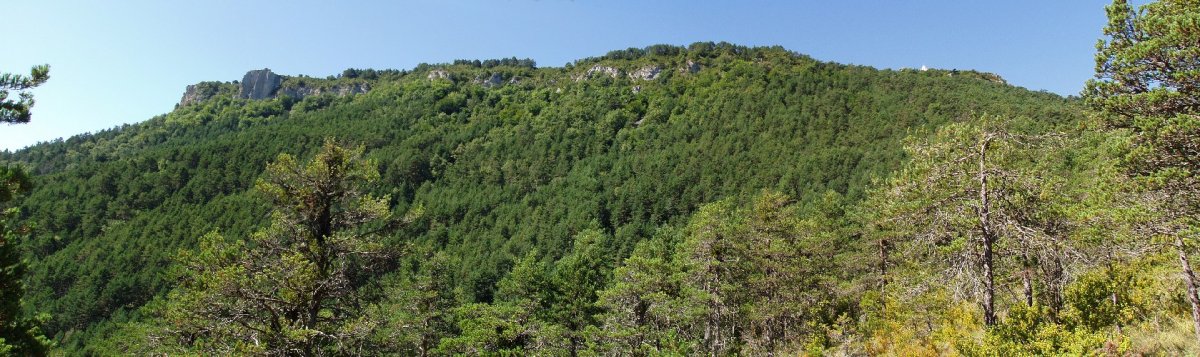 Arburua, ekialdeko isurialdea