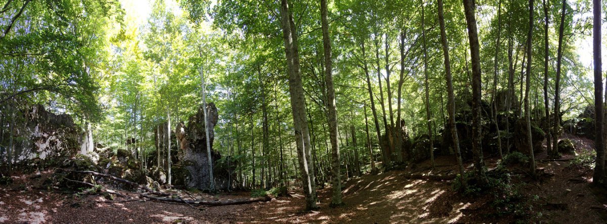 Gailurretik hurbileko harkaitz harrigarriak