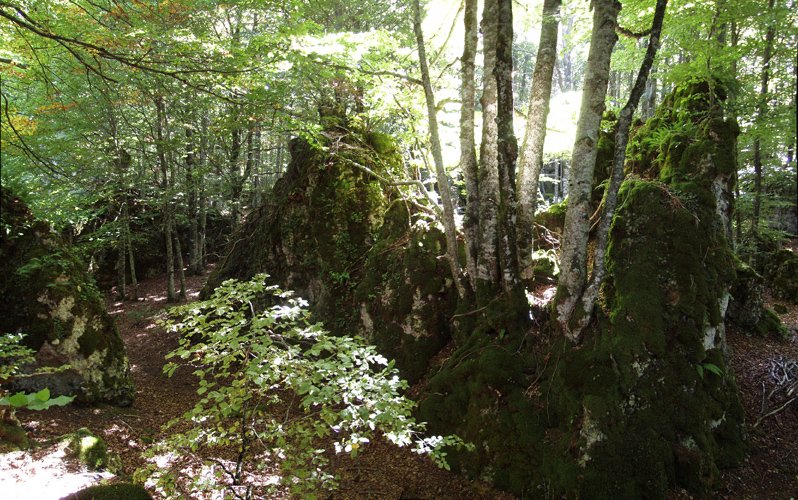 Eite misteriotsuko harkaitzak