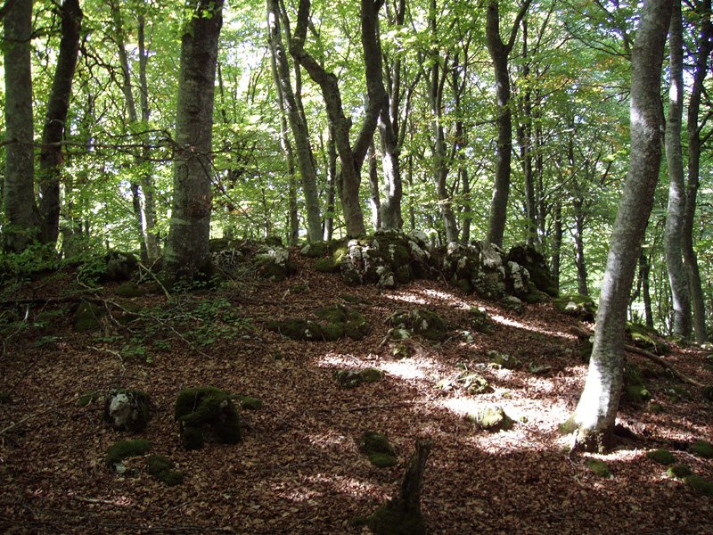 Guremendiko gailur oihantsua (1141m)