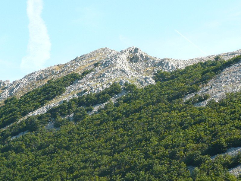 Burgalaitz Aldetik Ikusita